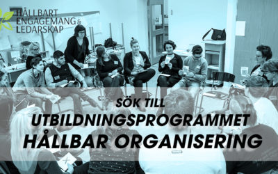 Ansök till utbildningsprogrammet Hållbar Organisering 2019