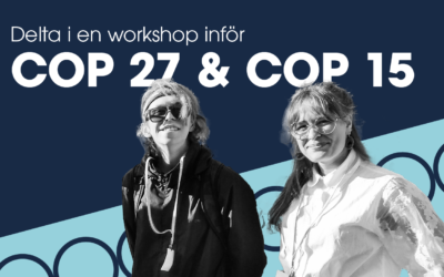 Delta i Workshop inför COP27 och COP15