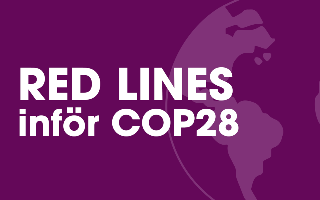 Den svenska ungdomsrörelsens röda linjer på COP28