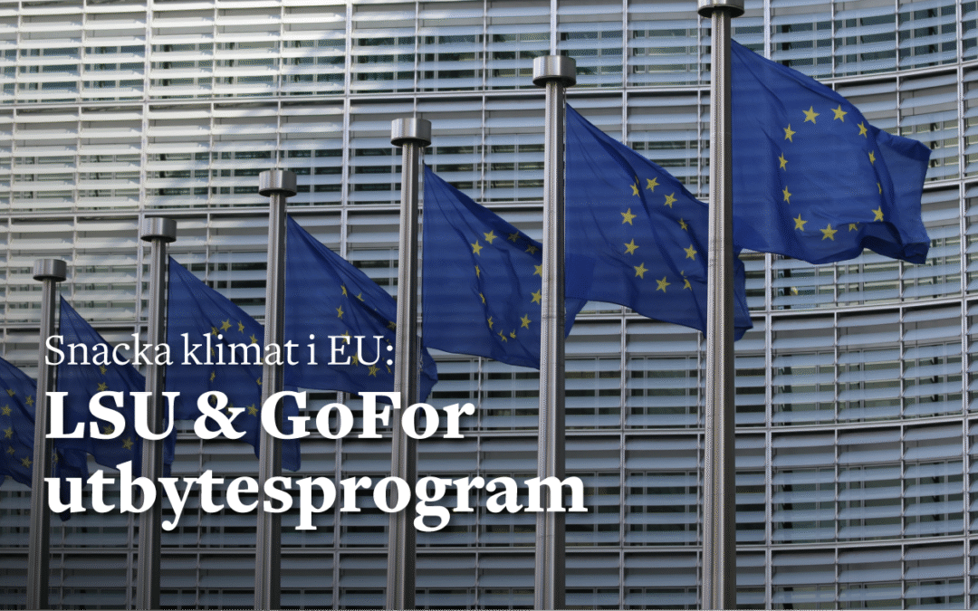 Snacka klimat i EU: LSU & GoFor utbytesprogram