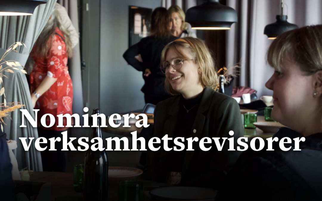 Bli LSU:s verksamhetsrevisor