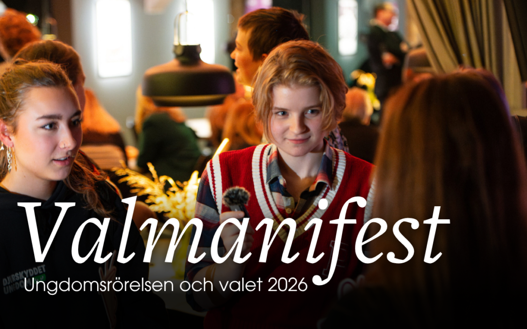 Detta kräver ungdomsrörelsen inför valet 2026!